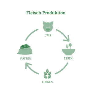 Grafik die den Kreislauf der Fleischproduktion zeigt
