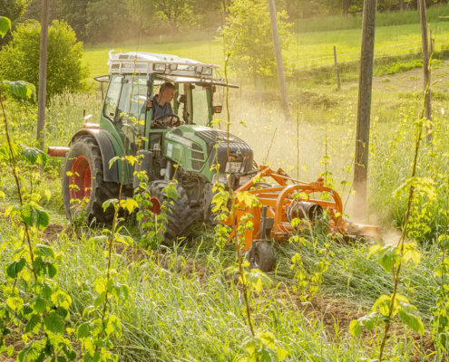 Mann fährt Traktor auf Feld mit grüner Wiese und Büschen