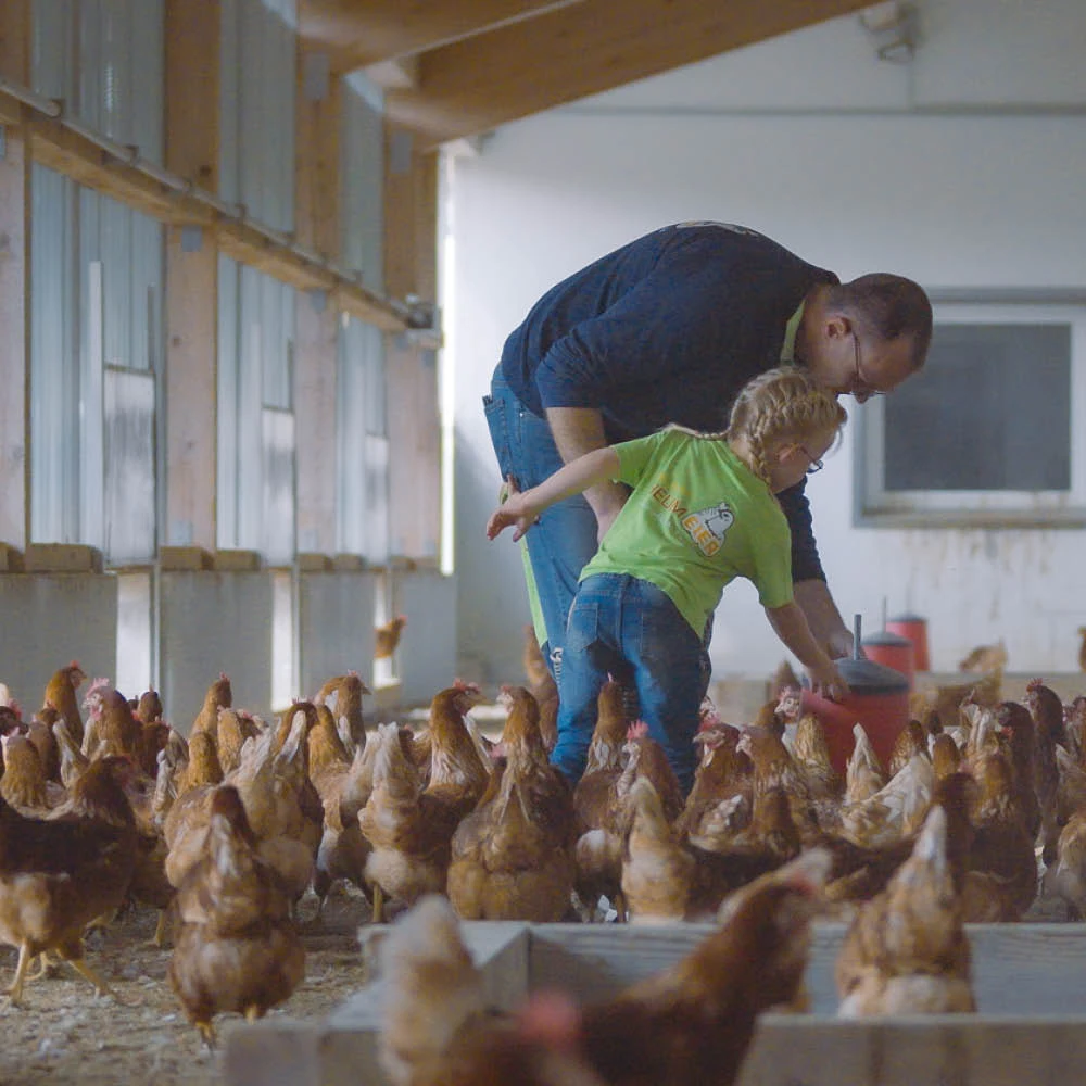 Heumeierhof Mann und Kind füttern Hühner im Stall