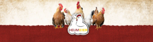 Heumeier Logo auf roten geflochtenen Untergrund mit Hühnern im Hintergrund