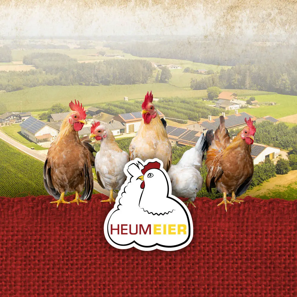 Heumeier Logo auf roten geflochtenen Untergrund mit Hühnern und Heumeierhof im Hintergrund
